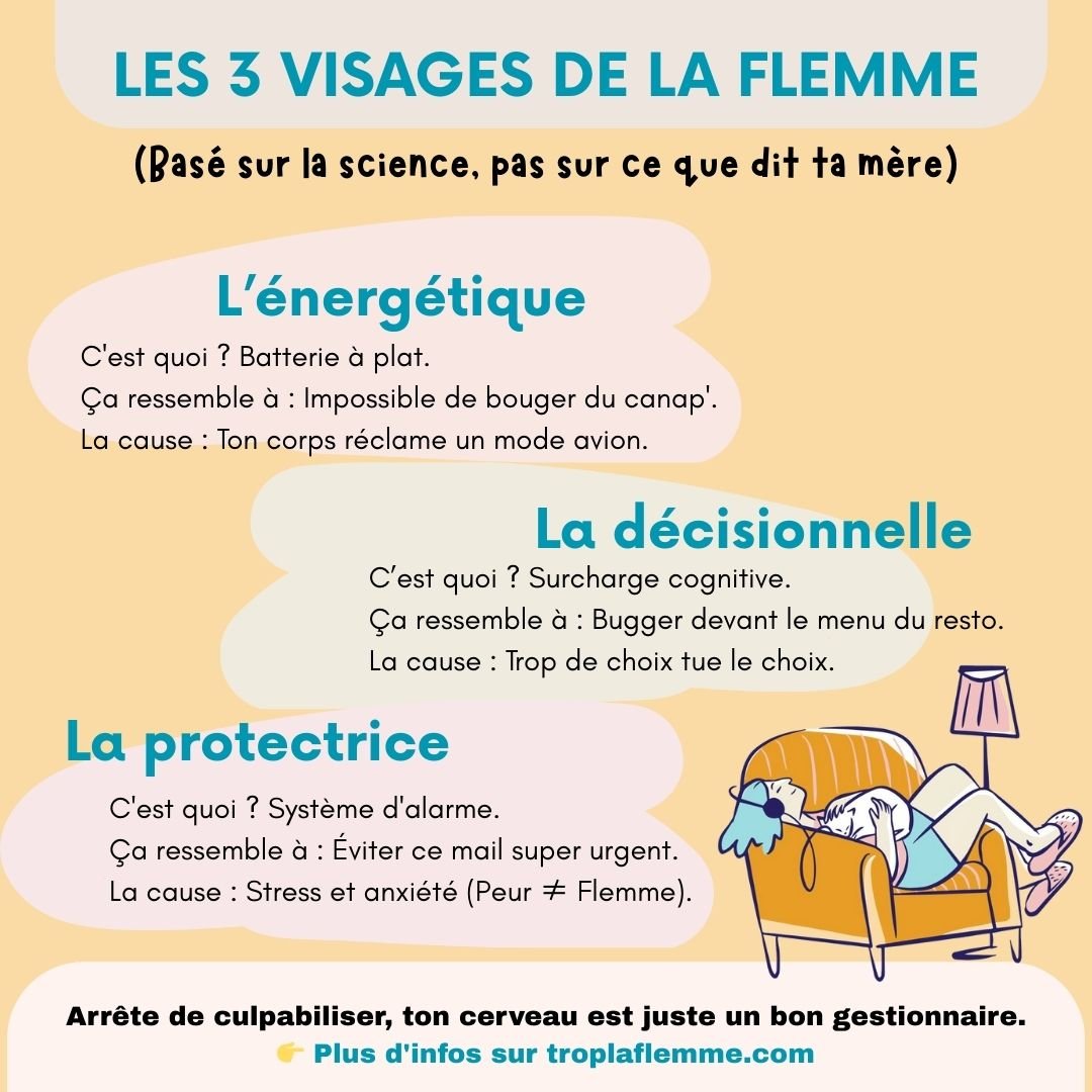 Infographie humoristique détaillant les 3 types de flemme (énergétique, décisionnelle, émotionnelle) prouvés par les neurosciences - Blog Trop La Flemme.