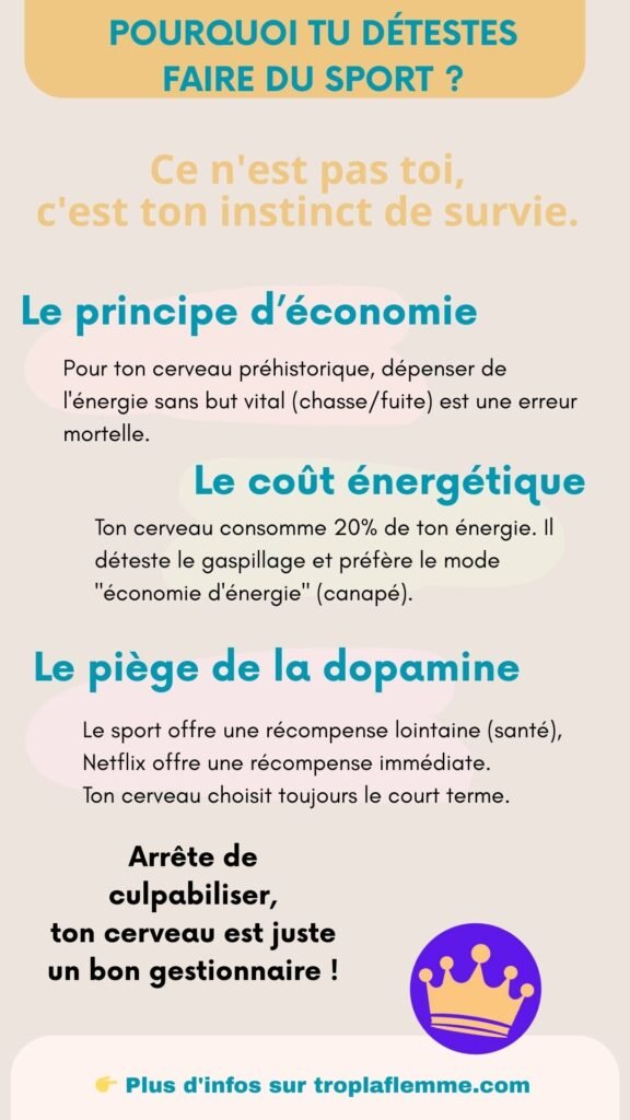 infographie 3 raisons de la flemme de faire du sport  (dopamine, énergie, économie)
